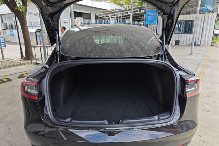 Tesla Model 3 2020 car image #19