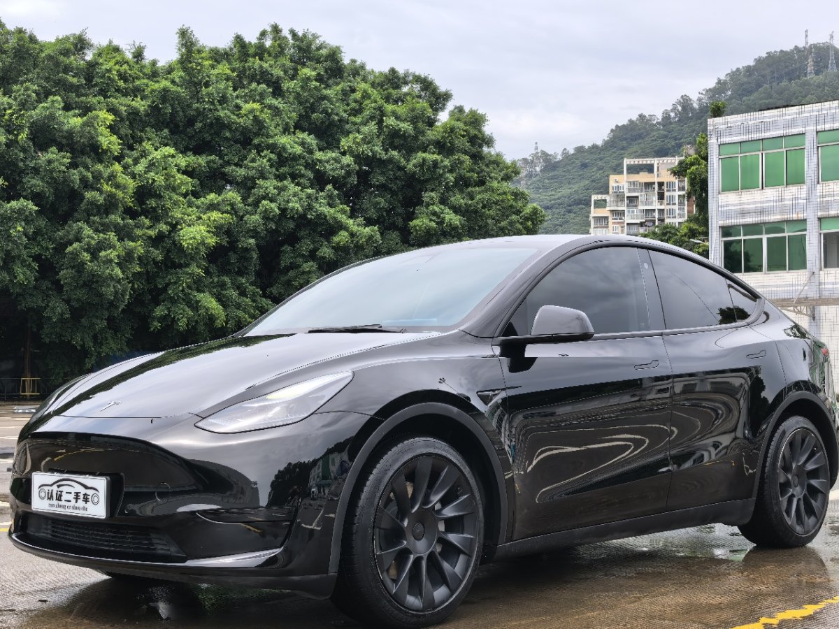 Tesla Model Y 2022 car image 