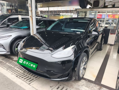Tesla Model Y 2023 Tesla Model Y 2023 car image