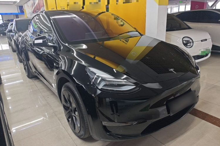 Tesla Model Y 2023 car image #6