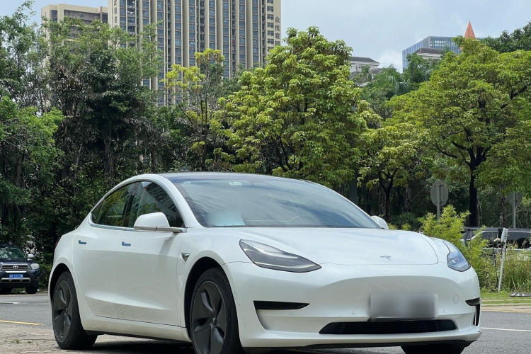 Tesla Model 3 2020 #4 Tesla Model 3 2020 car image #4