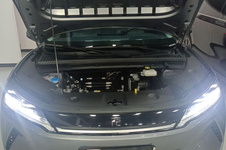 BYD YuanUP 2025 car image #20