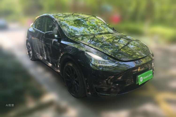 Tesla Model Y 2021 car image #4