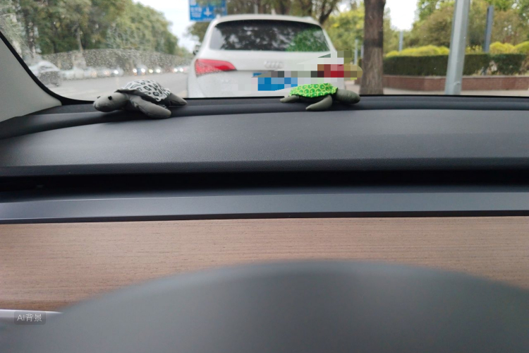 Tesla Model 3 2020 car image #13