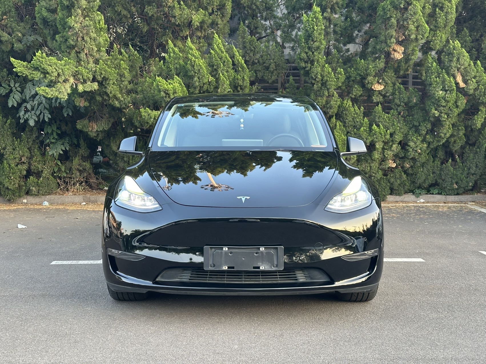 Tesla Model Y 2021 car image #4