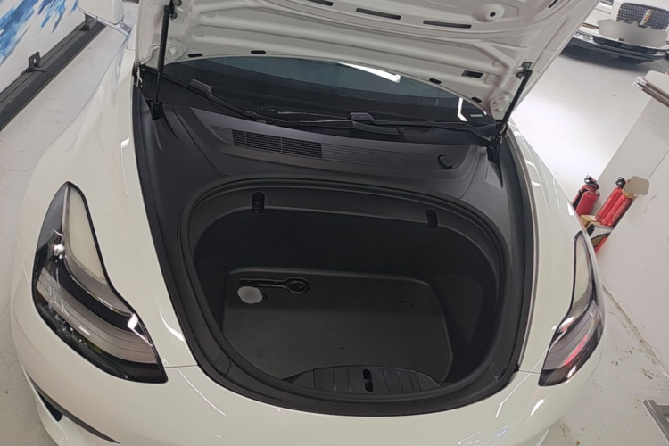 Tesla Model 3 2020 #20 Tesla Model 3 2020 car image #20