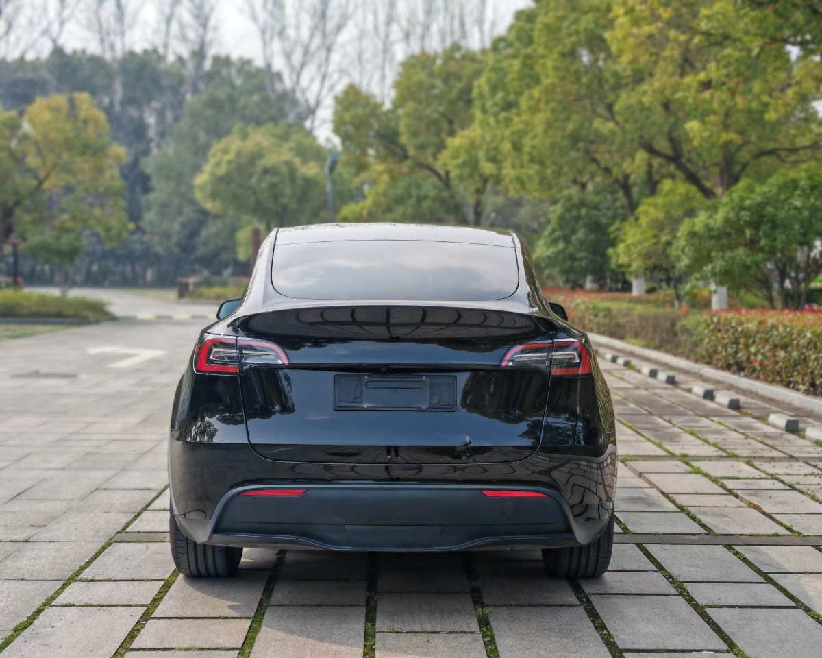 Tesla Model Y 2022 car image #9