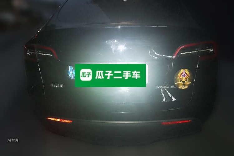 Tesla Model Y 2022 car image #6