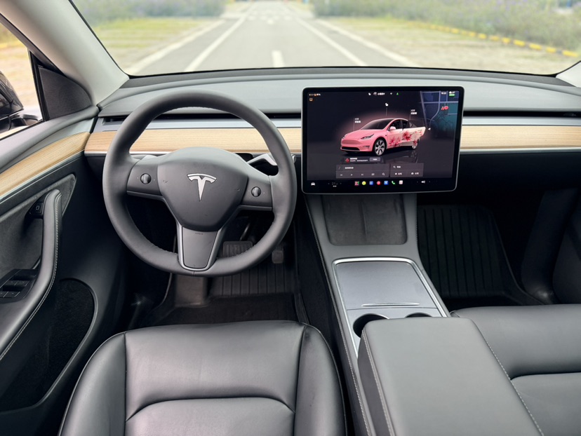 Tesla Model Y 2022 car image #7