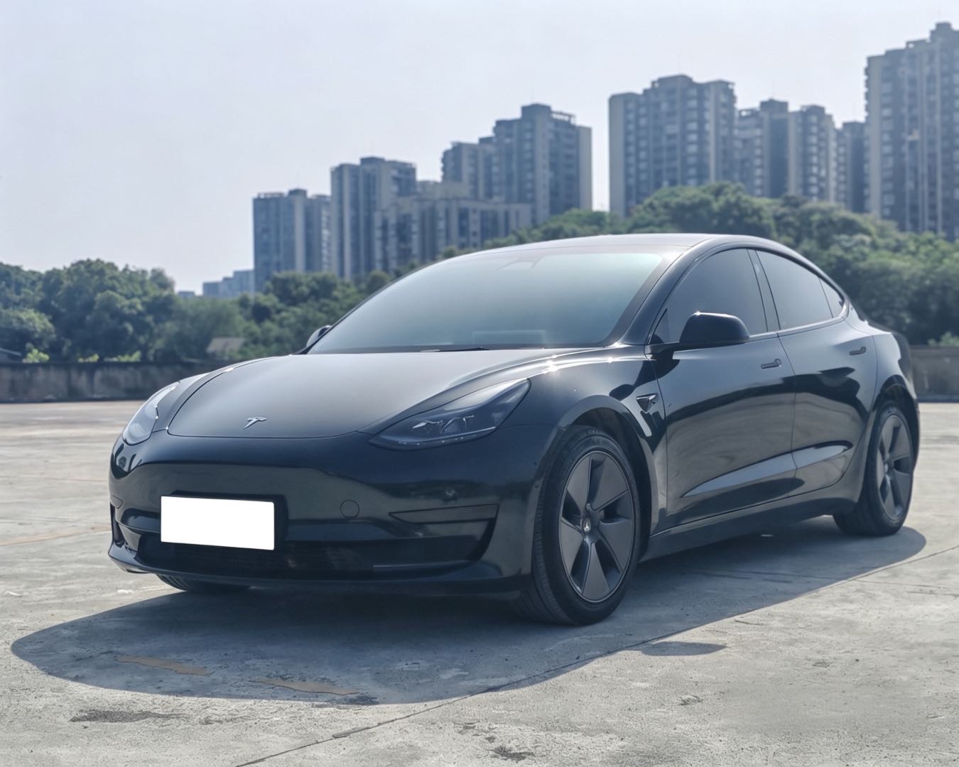 Tesla Model 3 2023 Tesla Model 3 2023 car image