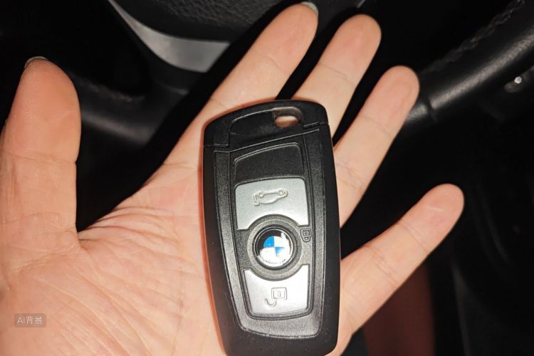 BMW 3 Series 2015 car image #10