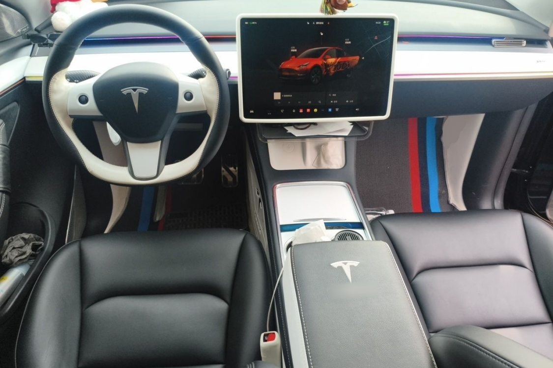 Tesla Model Y 2024 car image #21