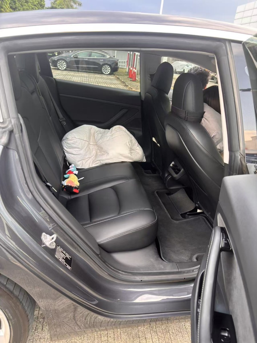 Tesla Model 3 2020 car image #4