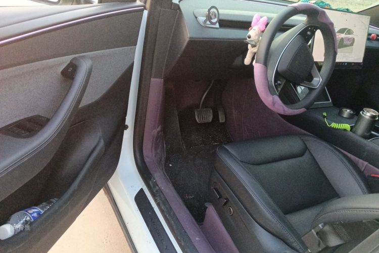 Tesla Model Y 2026 car image #18