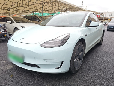 Tesla Model 3 2022 Tesla Model 3 2022 car image