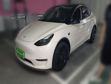 Tesla Model Y 2021 Tesla Model Y 2021 car image