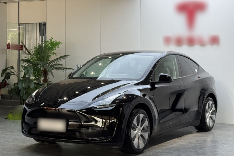 Tesla Model Y 2022 #2 Tesla Model Y 2022 car image #2
