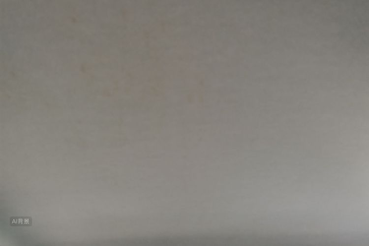 Volkswagen Santana 2020 car image #20