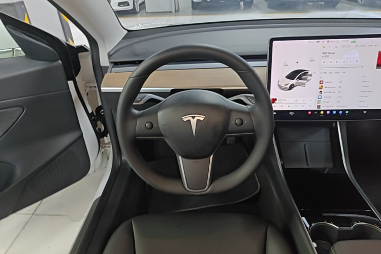 Tesla Model 3 2020 car image #15