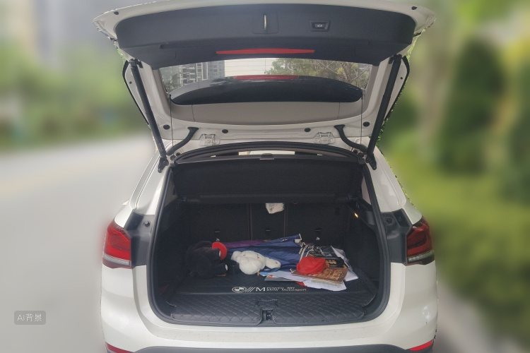 BMW X1 2021 imagem de carro #21