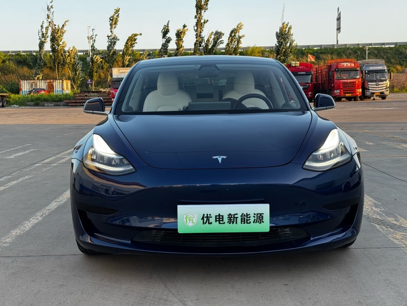 Tesla Model 3 2020 #2 Tesla Model 3 2020 car image #2