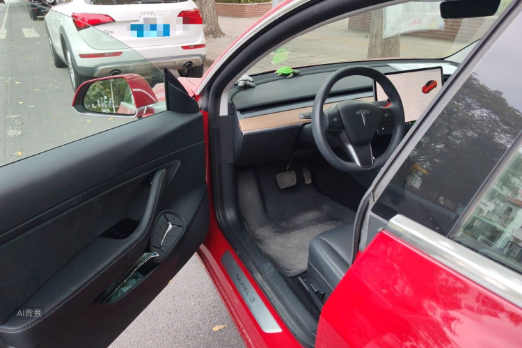 Tesla Model 3 2020 car image #18