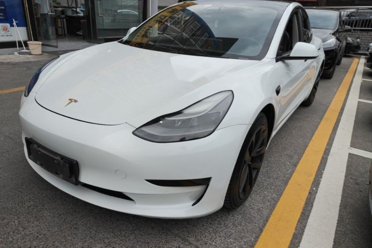 Tesla Model 3 2021 car image #2