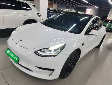 Tesla Model 3 2021 Tesla Model 3 2021 immagine di auto