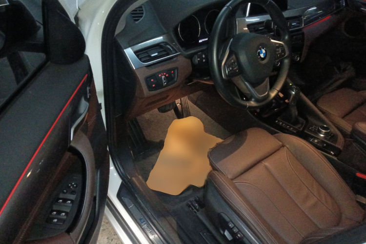 BMW X1 New Energy 2018 car image #12