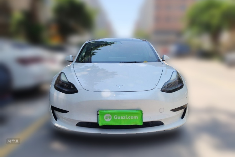 Tesla Model 3 2021 #3 Tesla Model 3 2021 car image #3