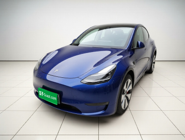 Tesla Model Y 2021 car image 