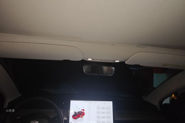 Tesla Model 3 2023 car image #20