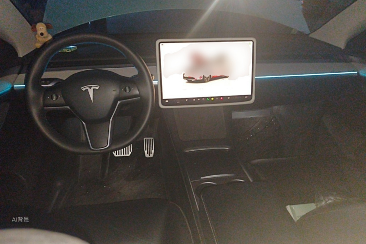 Tesla Model Y 2024 car image #11