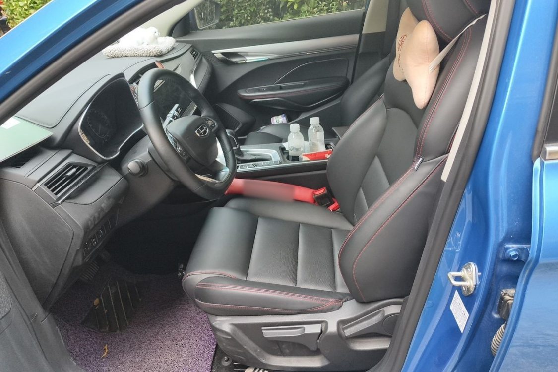 GEELY Binray 2020 #18 GEELY Binray 2020 immagine di auto #18