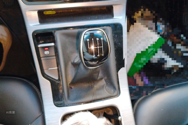 GEELY Emgrand GS 2019 immagine di auto #16