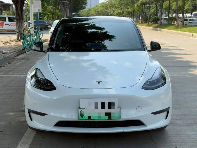 Tesla Model Y 2022 Tesla Model Y 2022 car image