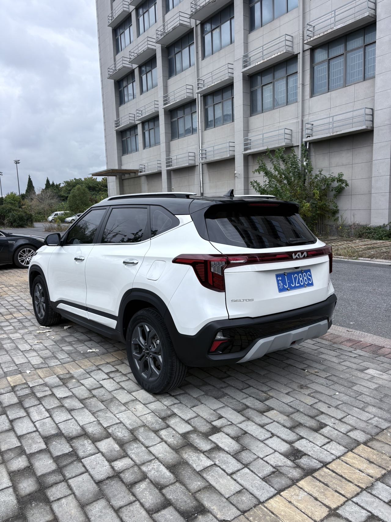 Kia Seltos 2024 #3 Kia Seltos 2024 immagine di auto #3