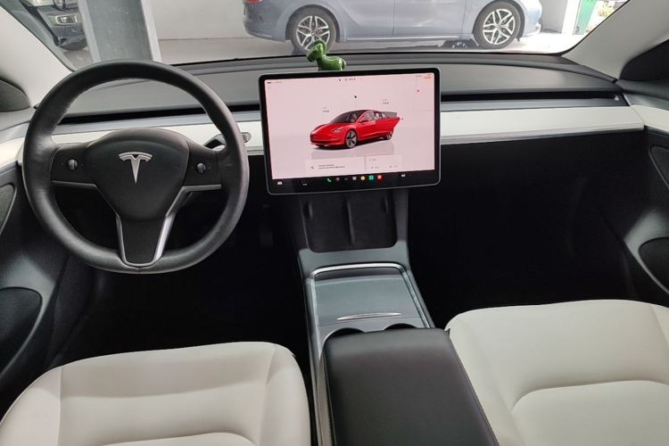 Tesla Model 3 2022 car image #10