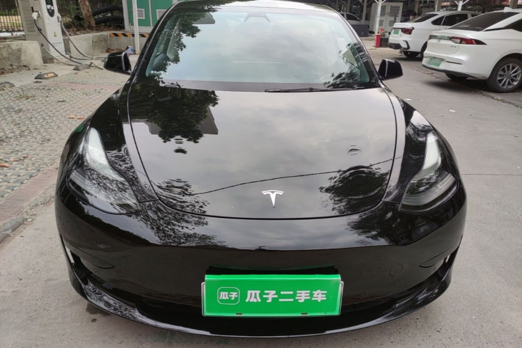 Tesla Model 3 2021 imagem de carro #3