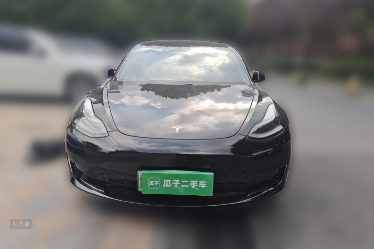 Tesla Model 3 2021 immagine di auto #3