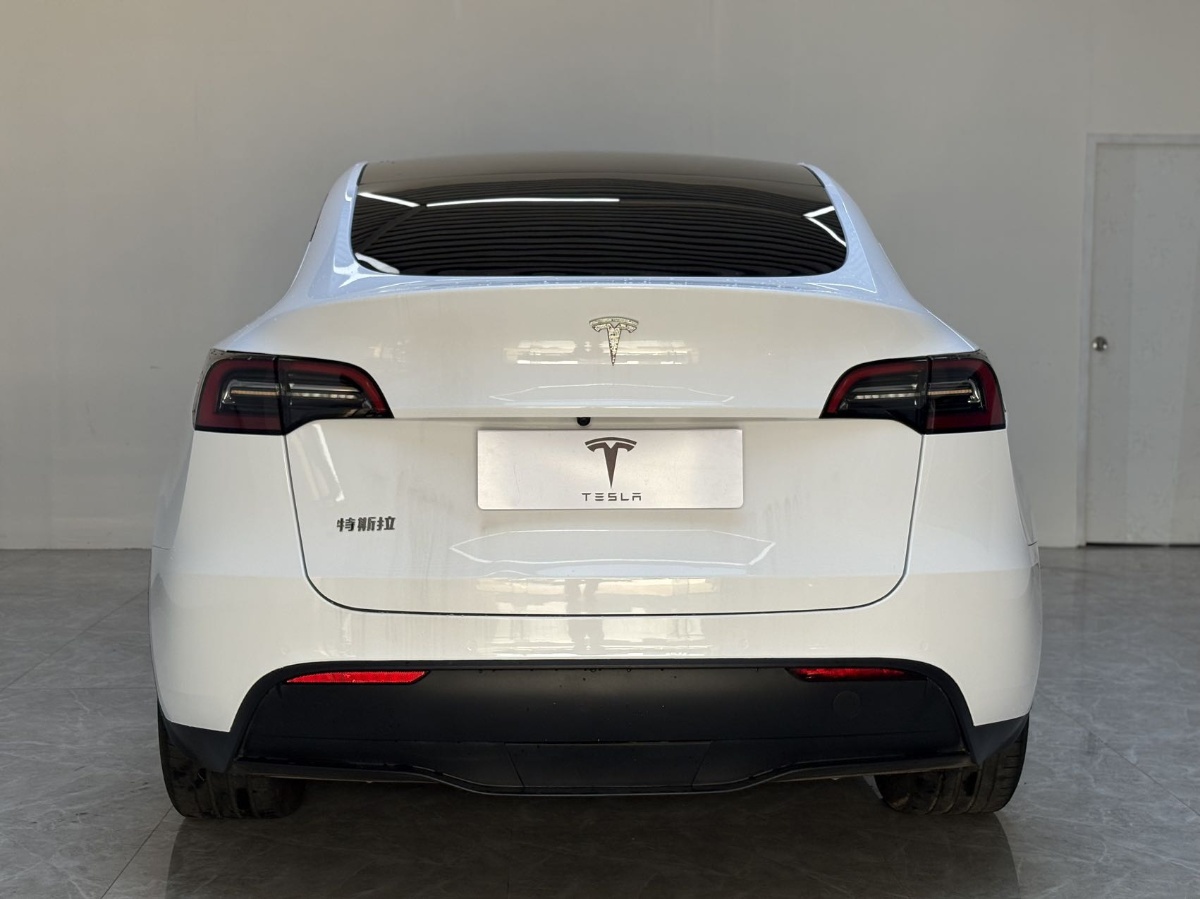 Tesla Model Y 1969 #8 Tesla Model Y 1969 car image #8
