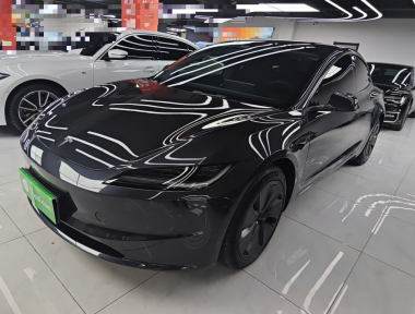 Tesla Model 3 2024 car image 