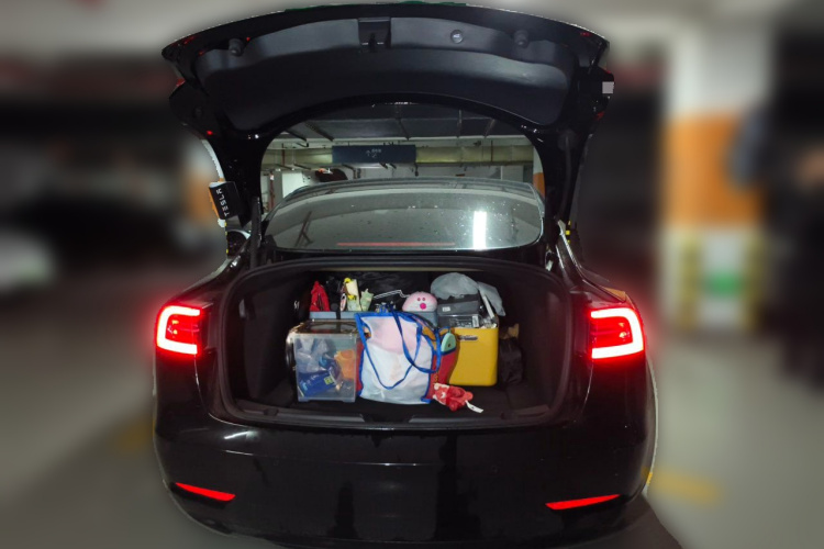 Tesla Model 3 2021 #21 Tesla Model 3 2021 car image #21