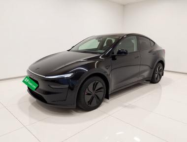 Tesla Model Y 2025 car image 