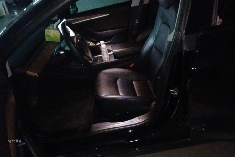 Tesla Model 3 2023 car image #17