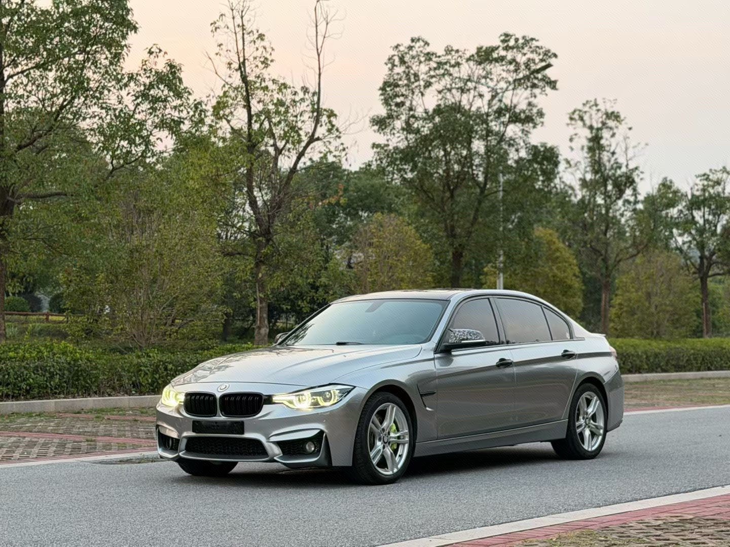 BMW 3 Series 2017 BMW 3 Series 2017 car image
