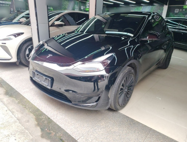Tesla Model Y 2023 Tesla Model Y 2023 car image