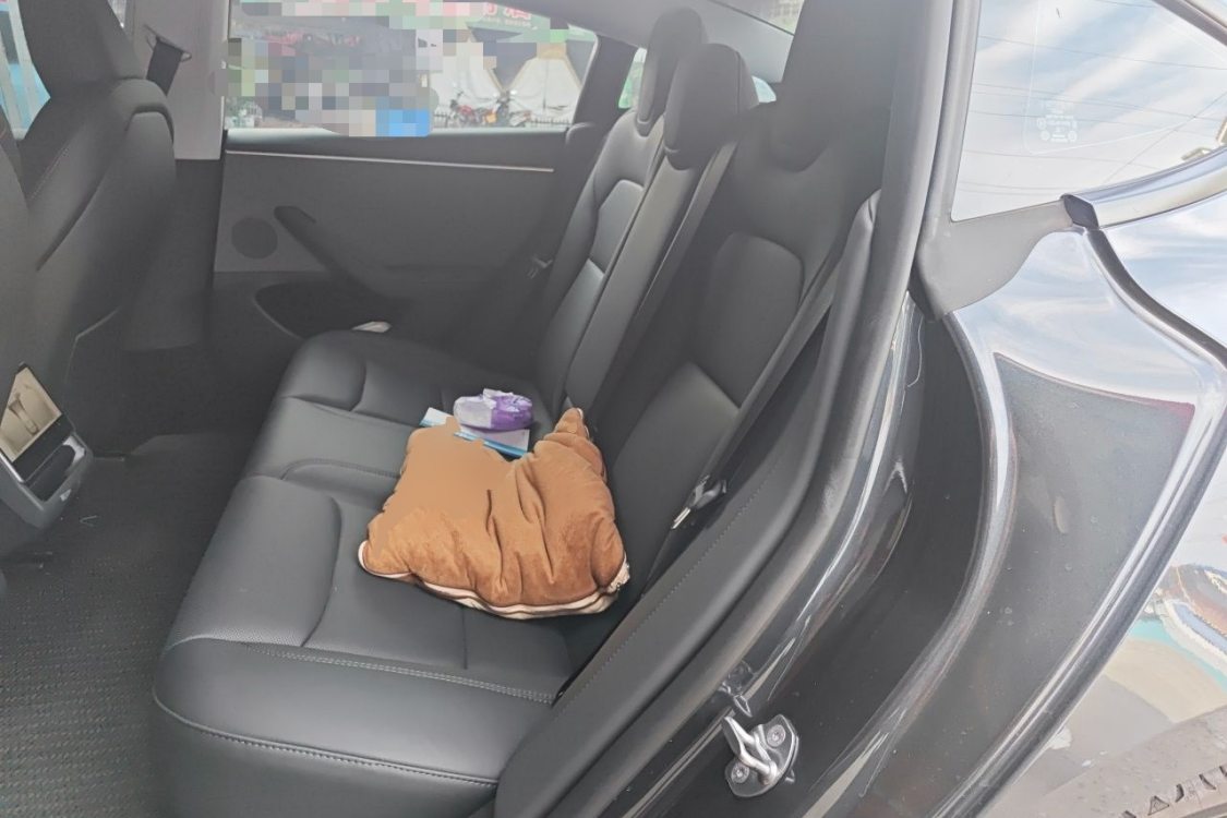 Tesla Model 3 2024 immagine di auto #19
