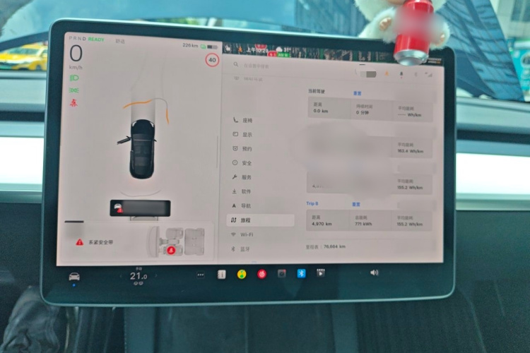 Tesla Model 3 2021 car image #17