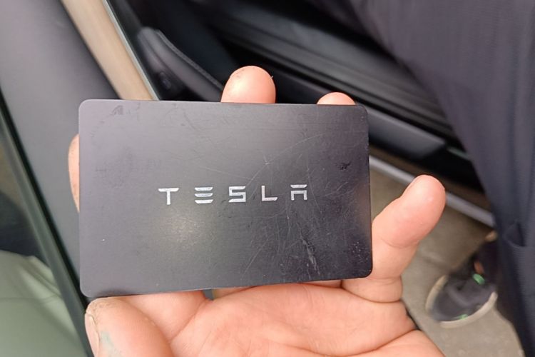 Tesla Model 3 2021 #11 Tesla Model 3 2021 car image #11